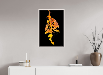 20 x 30″, Floater Frame Maple White Autumn's Vengeance