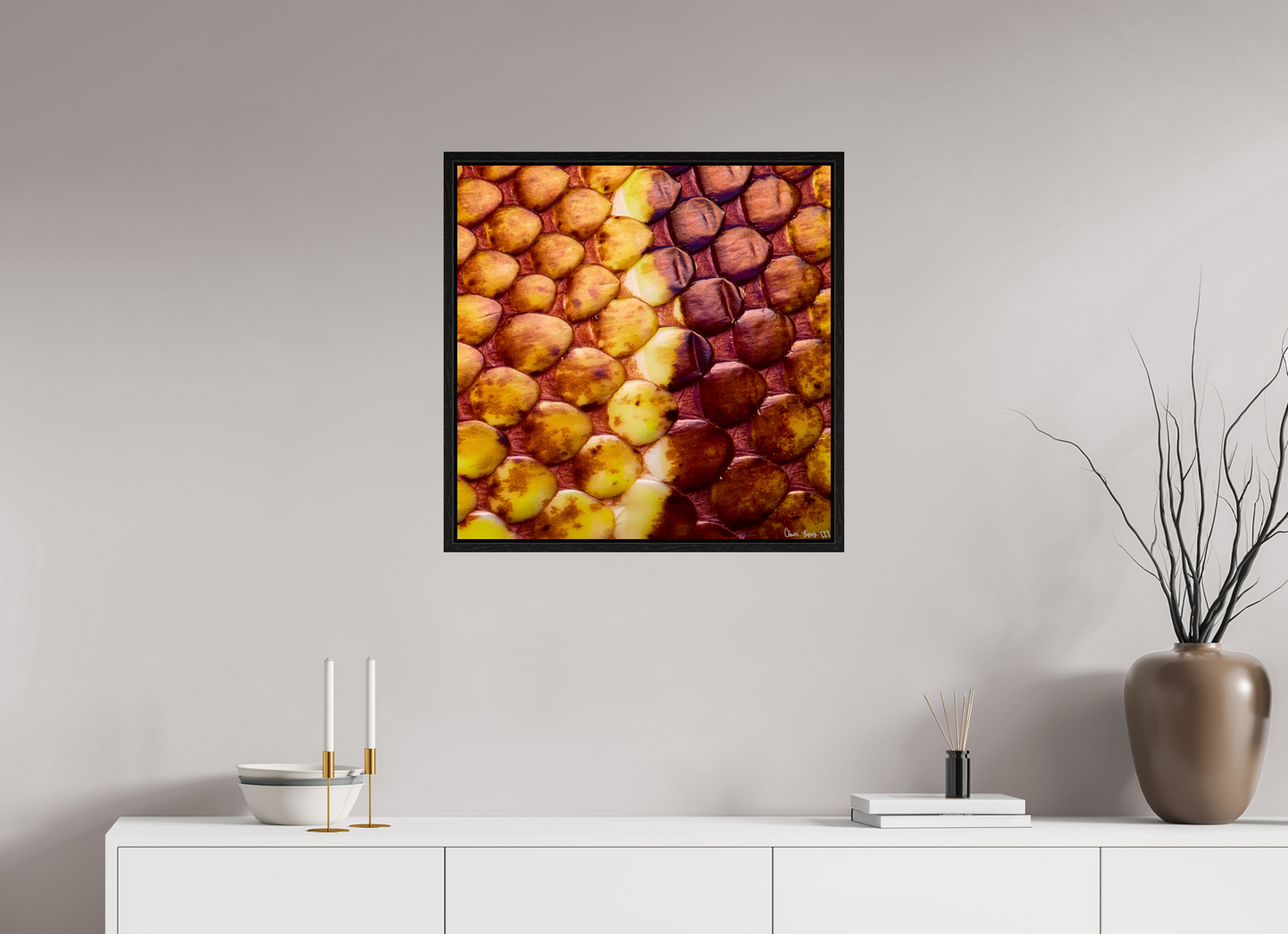 25 x 25″, Floater Frame Black Oak Reptilian Divide