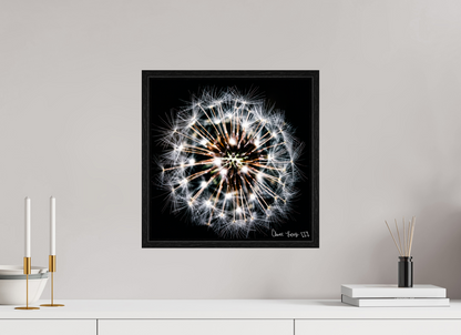 15 x 15″, Floater Frame Black Oak Starburst