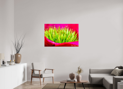 45 x 30″, Glossy Canvas Spiked