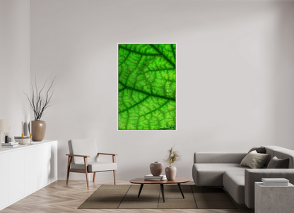 40 x 60″, Floater Frame Maple White River & Streams