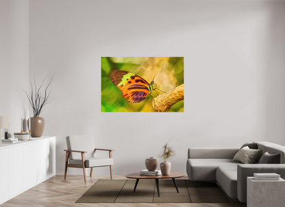 60 x 40″, Direct Print on Aluminum Dibond Default Flamboyance