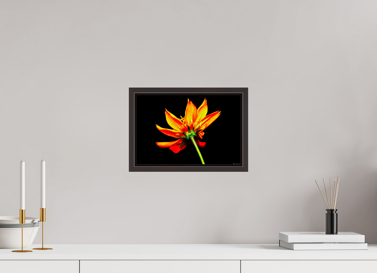 12 x 8″, Floater Frame Alder Brown Soaring Phoenix