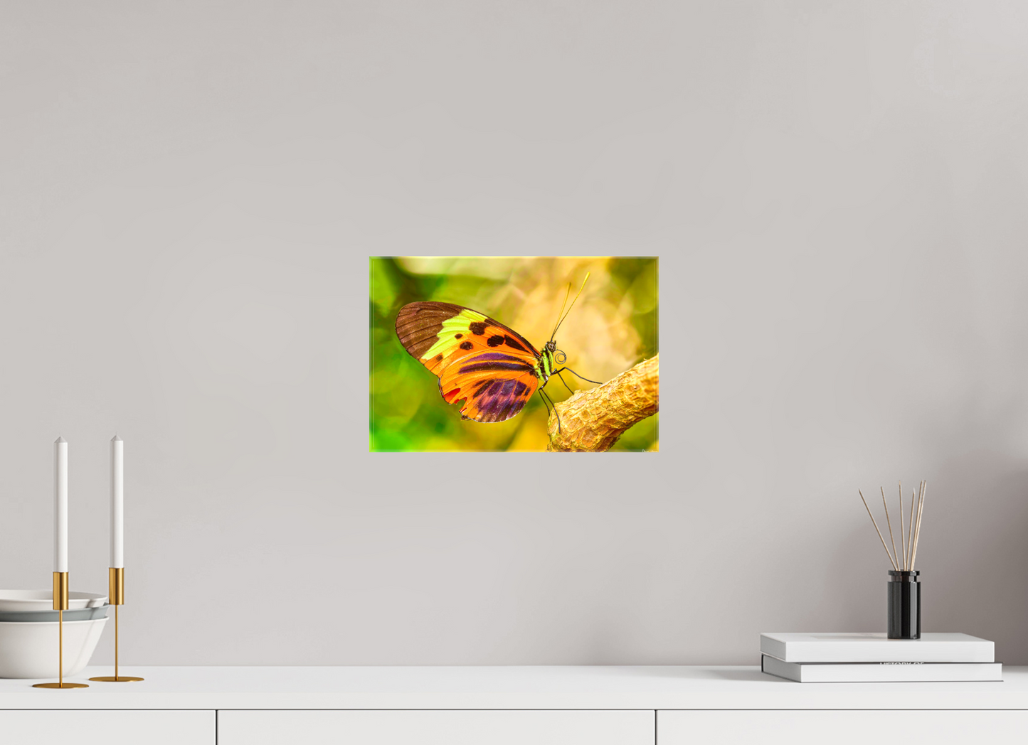 12 x 8″, Glossy Canvas Flamboyance