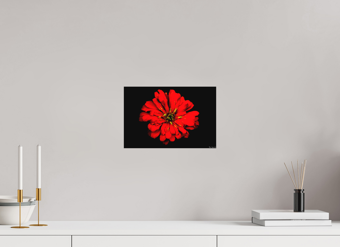 12 x 8″, Forex Zinnia of Fire