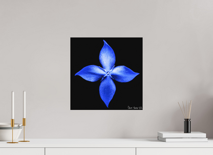 15 x 15″, Forex Halcyon Compass