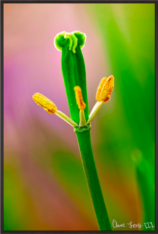 Main image Gaia’s Tower