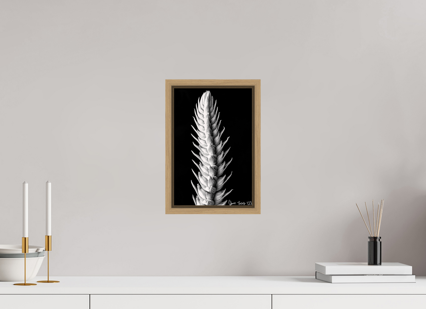 8 x 12″, Floater Frame Natural Oak Vertebrae