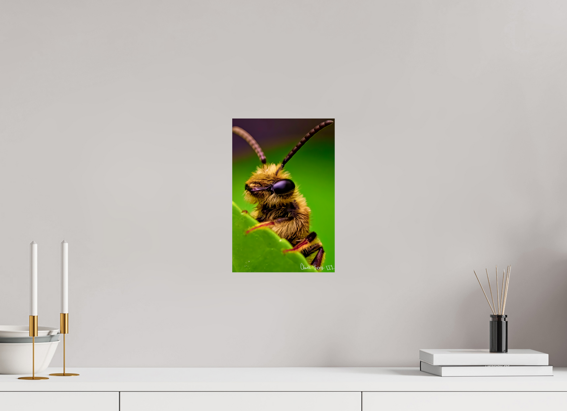 8 x 12″, Glossy Metal The Cutest Bee
