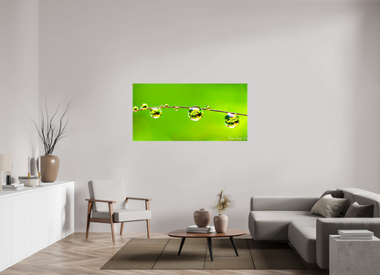 62 x 31″, Glossy Canvas Refraction