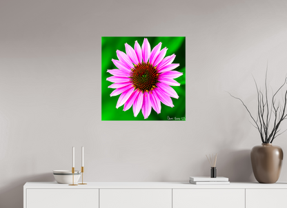 25 x 25″, Glossy Canvas Icosidigon