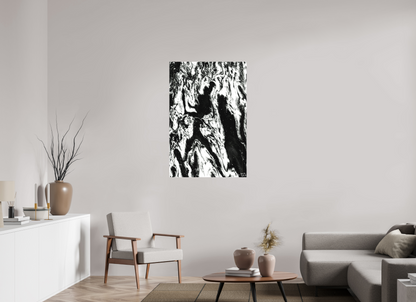 30 x 45″, Matte Canvas Frolicking Shadows