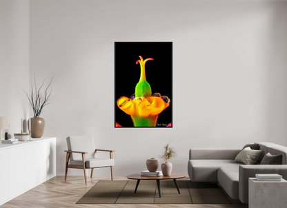 40 x 60″, Floater Frame Black Oak Bubble Fountain