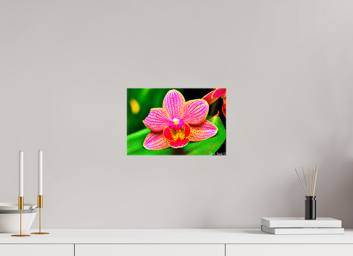 12 x 8″, Glossy Canvas Vigorous Orchid