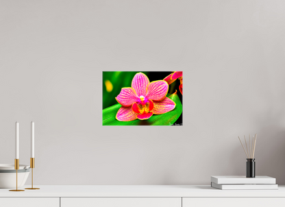 12 x 8″, Glossy Canvas Vigorous Orchid