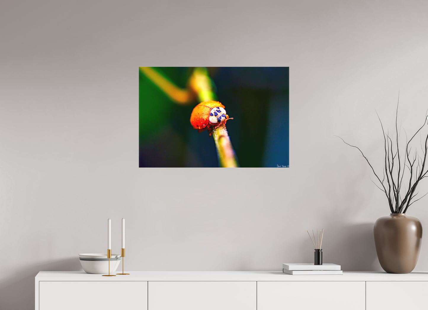 30 x 20″, Matte Canvas Dew-Kissed Ladybug