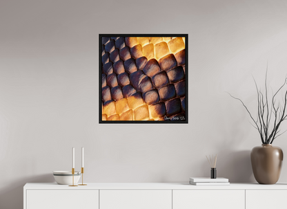 25 x 25″, Floater Frame Black Oak Python’s Glow