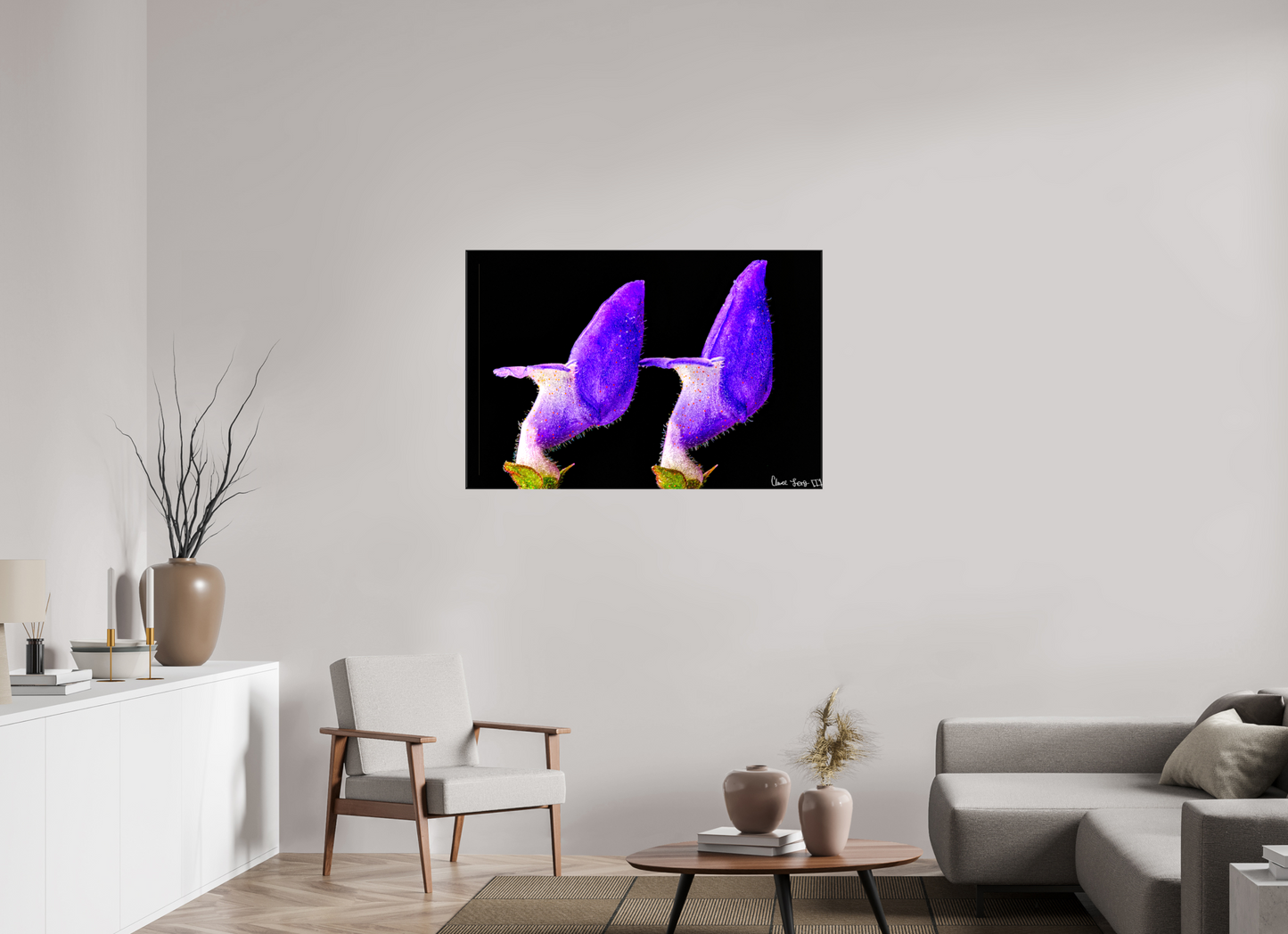 45 x 30″, Glossy Canvas Coleus Barbatus