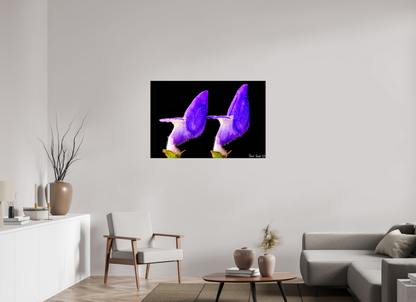 45 x 30″, Glossy Canvas Coleus Barbatus