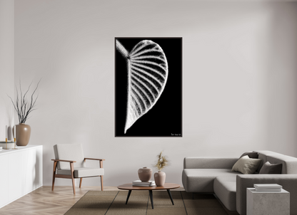 44 x 66″, Floater Frame Alder Brown Onyx Organ