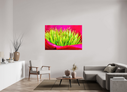 60 x 40″, Matte Canvas Spiked
