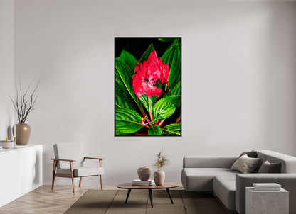 44 x 66″, Floater Frame Black Oak Subsume