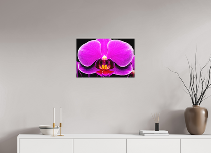24 x 16″, Matte Metal Magnificence