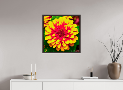 25 x 25″, Floater Frame Alder Brown Radiance