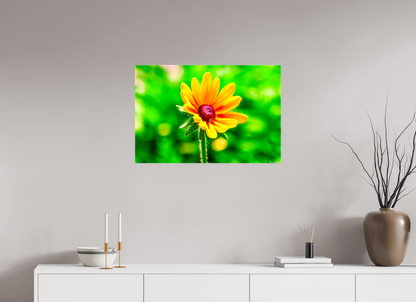 30 x 20″, Glossy Canvas Stillness in the Blur