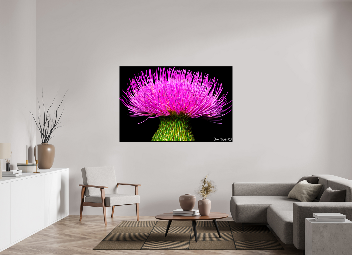 66 x 44″, Glossy Canvas Silybum