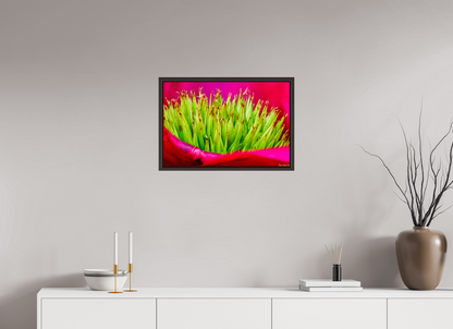 24 x 16″, Floater Frame Alder Brown Spiked