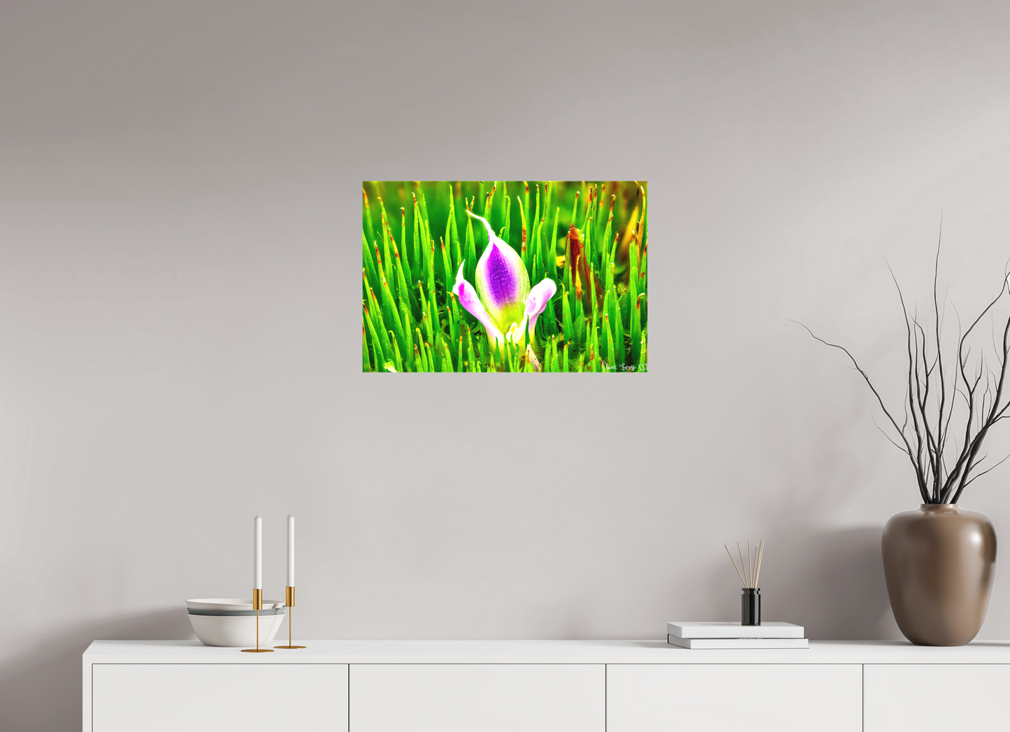 24 x 16″, Matte Canvas Maverick