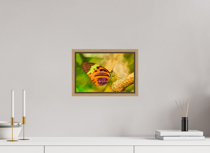 12 x 8″, Floater Frame Natural Oak Flamboyance