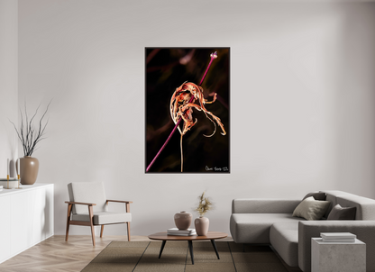 44 x 66″, Floater Frame Alder Brown Impaled