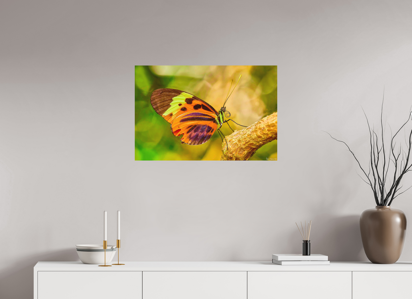 30 x 20″, Direct Print on Aluminum Dibond Default Flamboyance