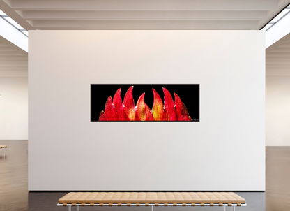93 x 31″, Floater Frame Alder Brown Flaming Sword
