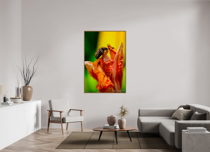 40 x 60″, Floater Frame Natural Oak Perched Grave