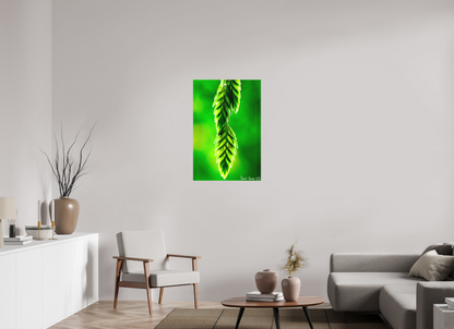 24 x 36″, Matte Canvas Harmonic Trinity