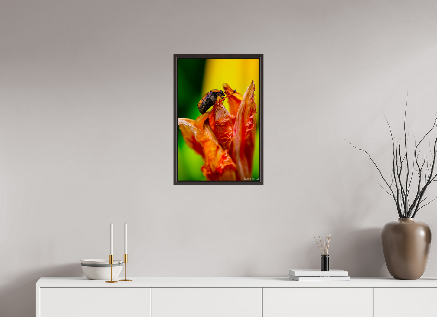 16 x 24″, Floater Frame Alder Brown Perched Grave
