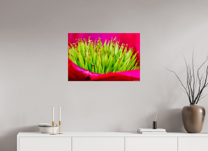 30 x 20″, Glossy Metal Spiked