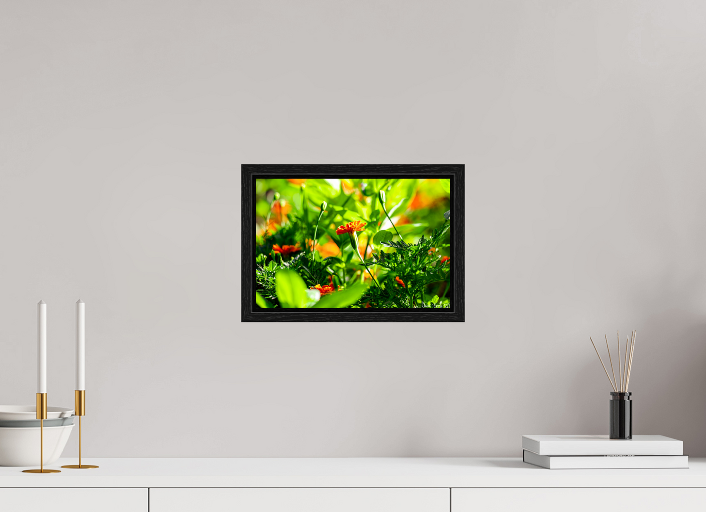 12 x 8″, Floater Frame Black Oak Prominence