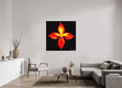 50 x 50″, Matte Canvas Blazing Compass