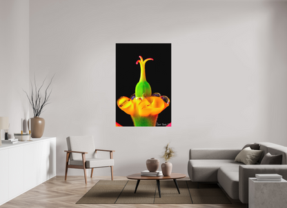 40 x 60″, Matte Metal Bubble Fountain