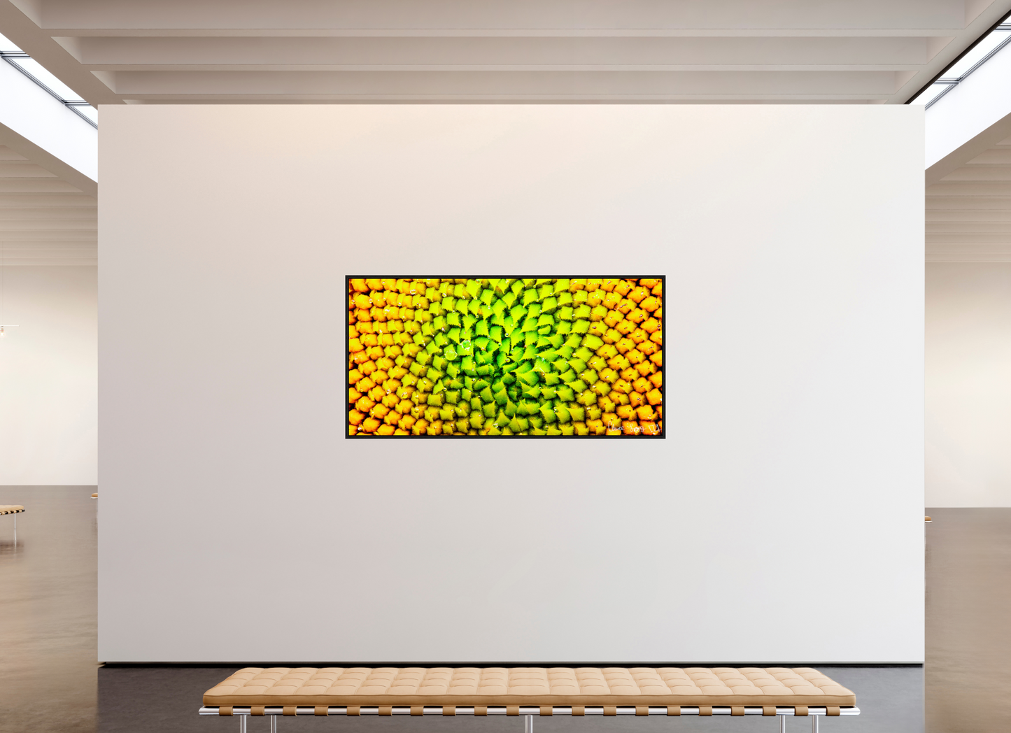 78 x 39″, Floater Frame Black Oak Geometric Harmony