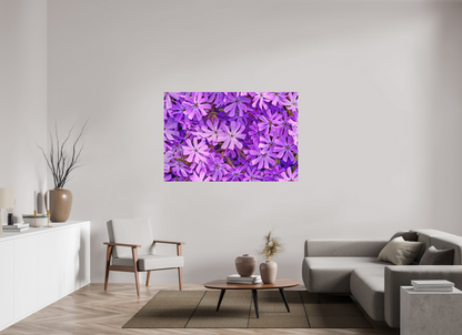 60 x 40″, Matte Metal Lavender Moss Phlox