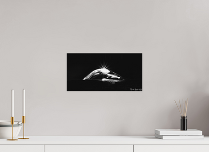 16 x 8″, Forex Starry Mountain