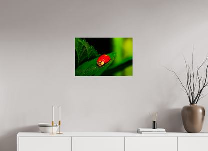 24 x 16″, Glossy Metal Our Lady Bird
