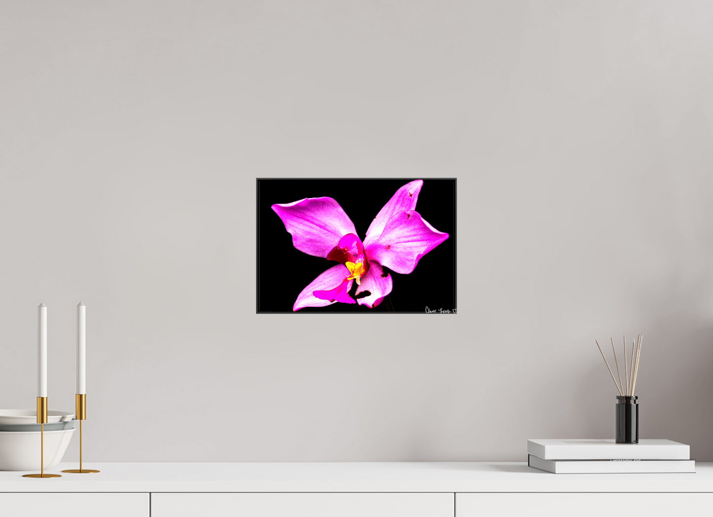 12 x 8″, Glossy Canvas Efflorescence