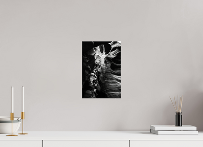 8 x 12″, Glossy Canvas Beauty Down Below