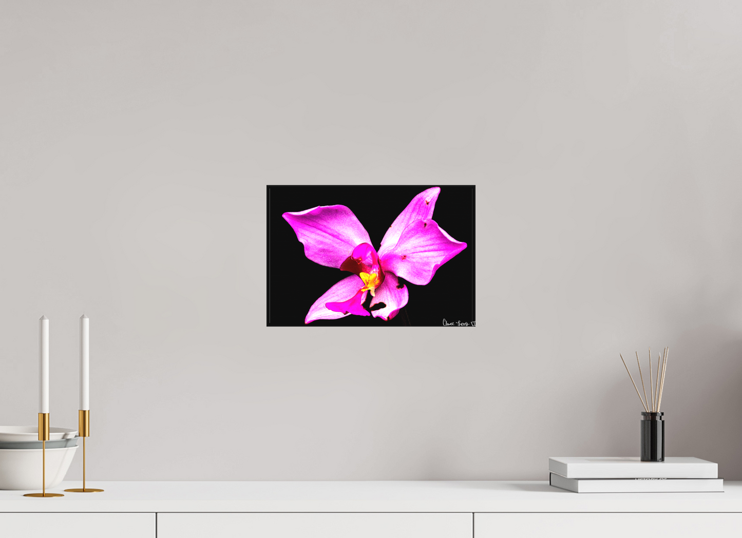 12 x 8″, Matte Canvas Efflorescence